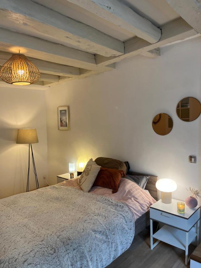 Good Vibes Apartment Grenoble Ngoại thất bức ảnh