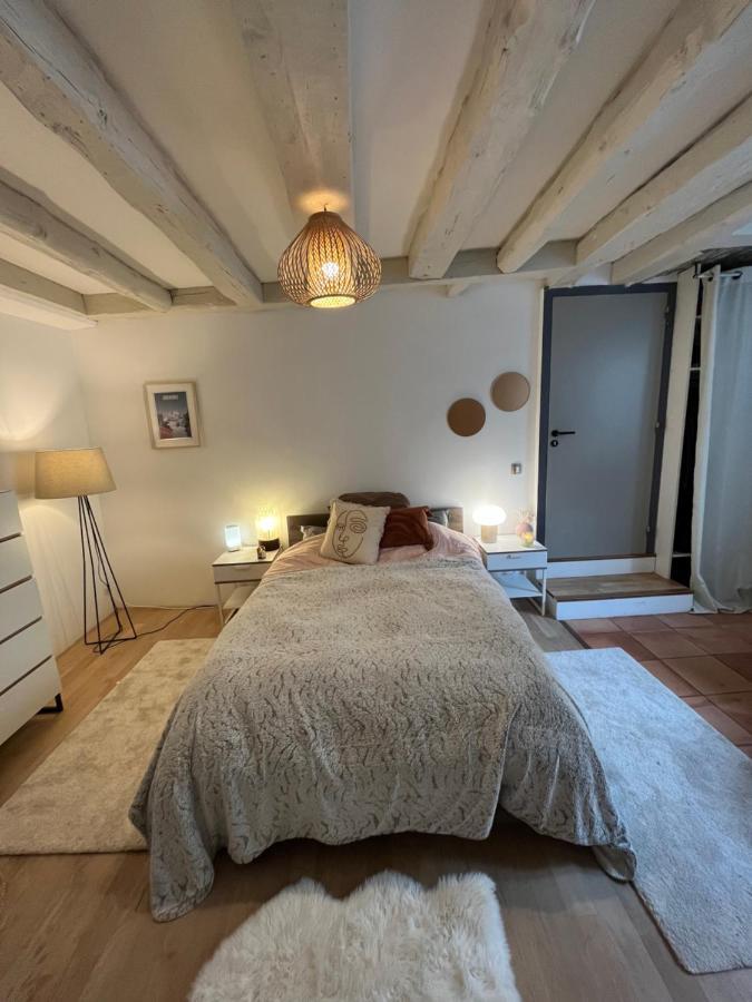 Good Vibes Apartment Grenoble Ngoại thất bức ảnh