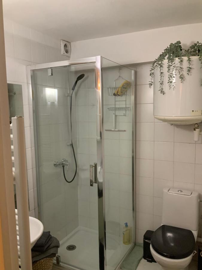 Good Vibes Apartment Grenoble Ngoại thất bức ảnh